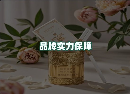 核心优势